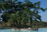 Web Design for Costa Rica Vacation Condos